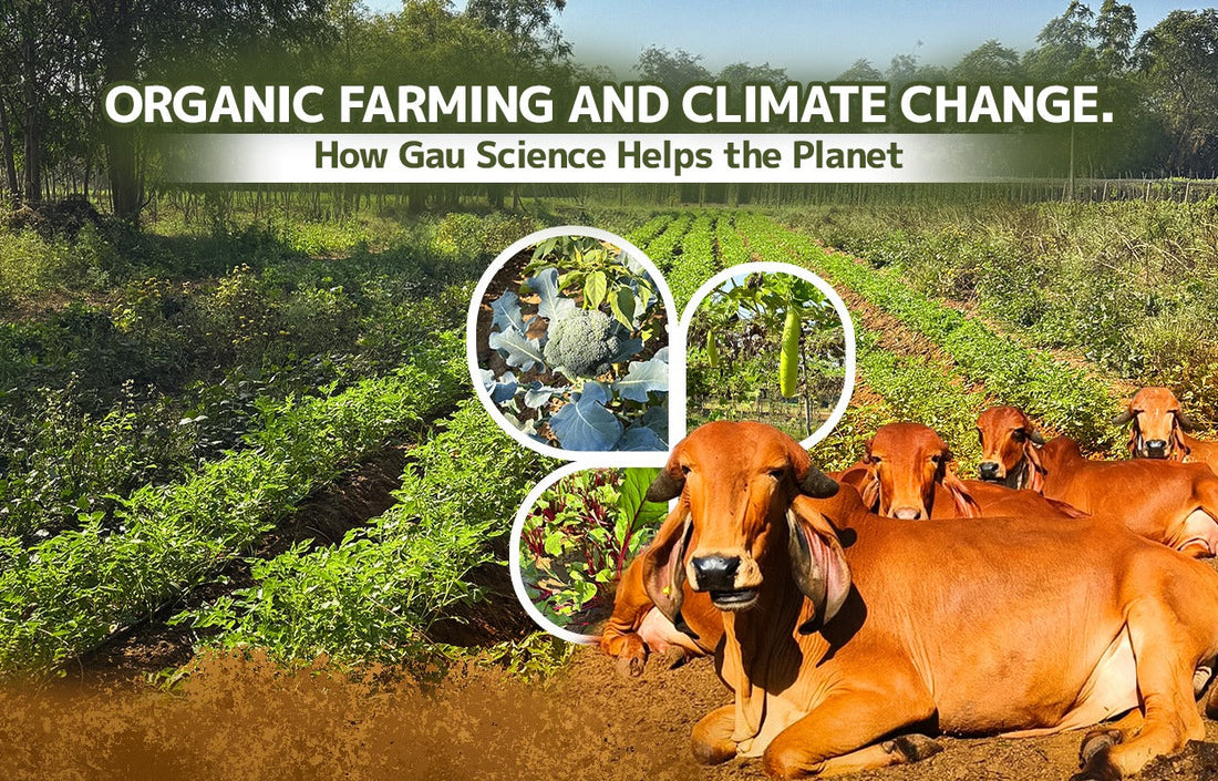 Organic Farming and Climate Change: How Gau Science Helps the Planet