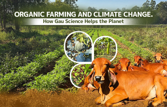 Organic Farming and Climate Change: How Gau Science Helps the Planet