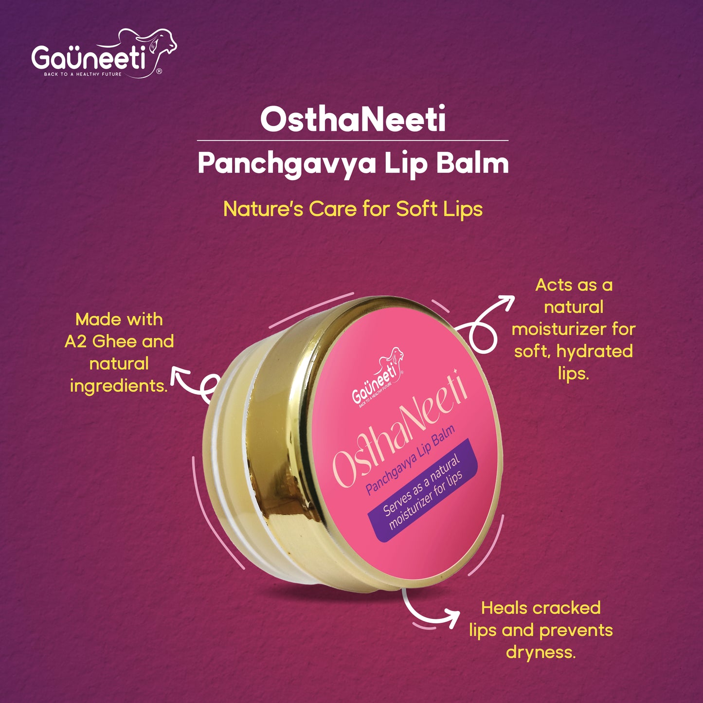 OsthaNeeti - Panchgavya Lip Balm