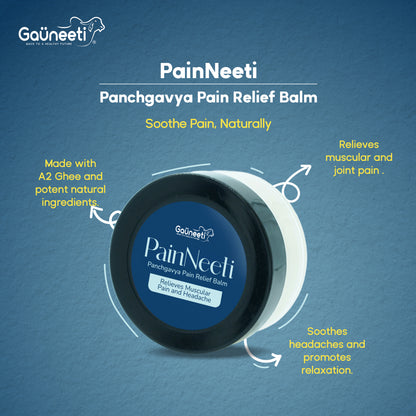 PainNeeti - Panchgavya Pain Relief Balm