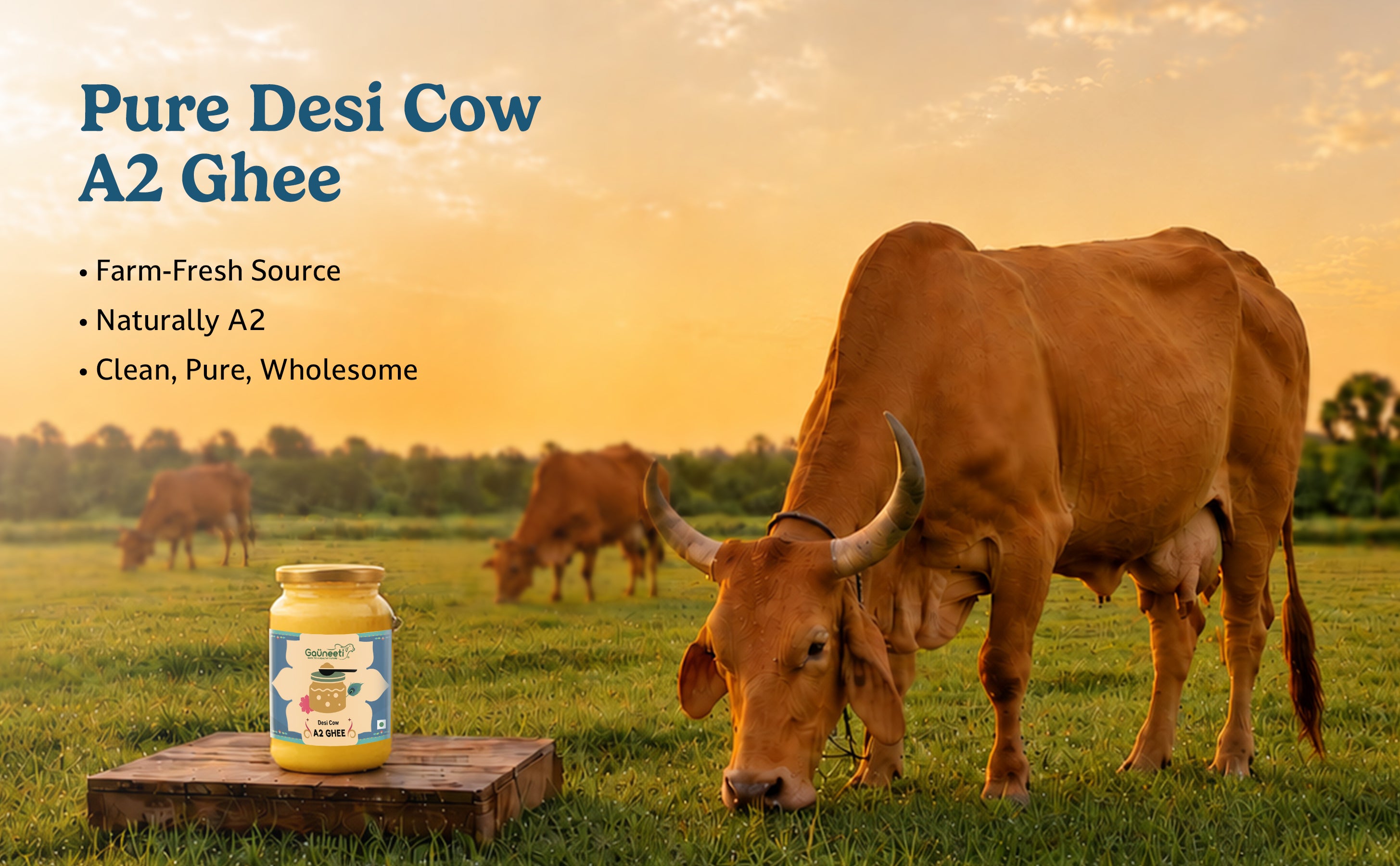 Pure Desi Cow A2 Ghee product by gauneeti with cows in a field at sunset