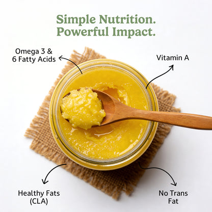 Jar of Ghee with a wooden spoon, labeled with health benefits on a white background.