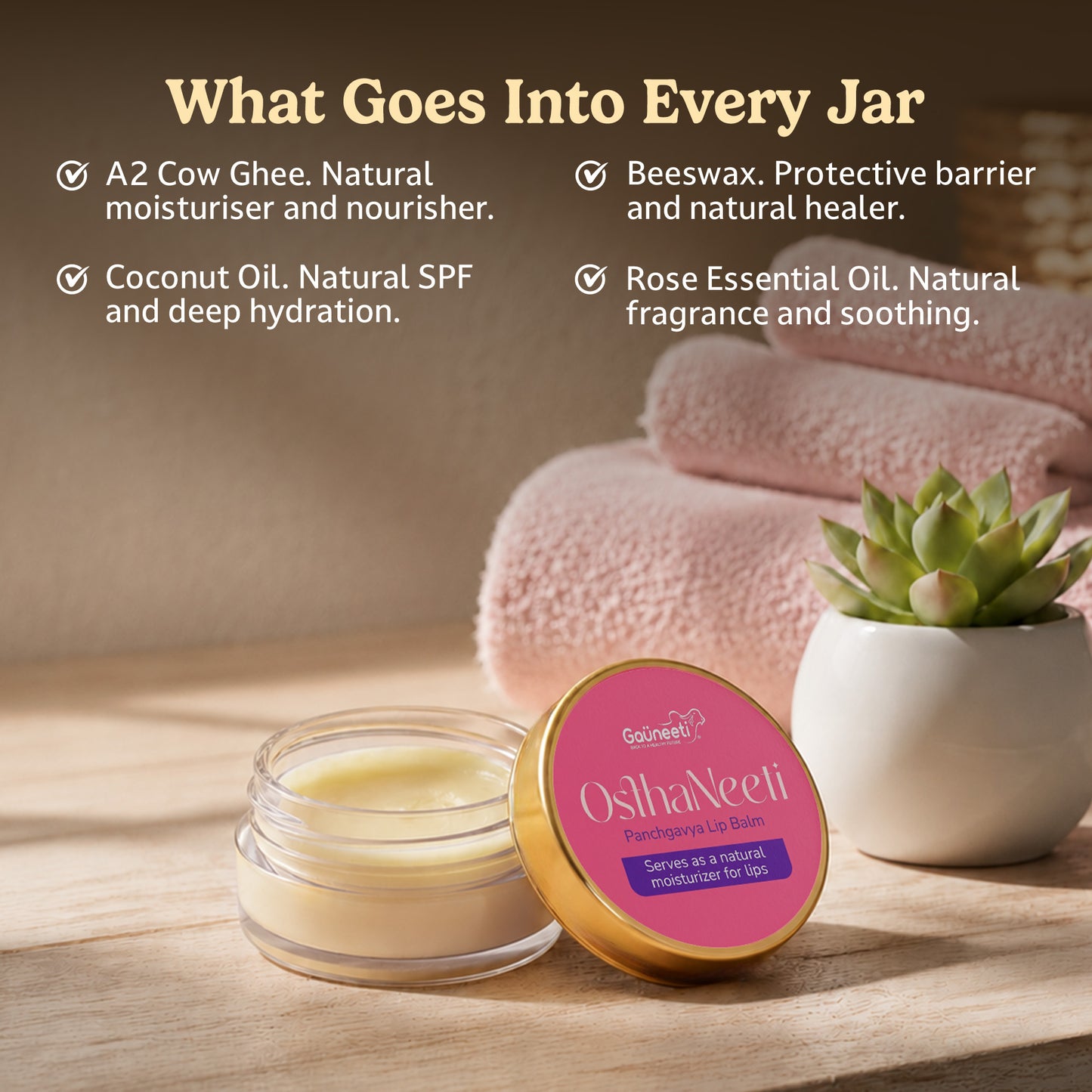 OsthaNeeti - Panchgavya Lip Balm