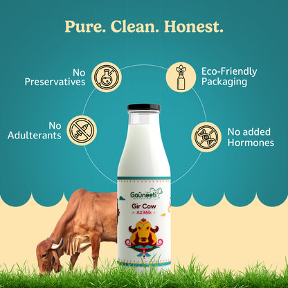 Gir Cow A2 Milk (Ahmedabad - GNR Only)