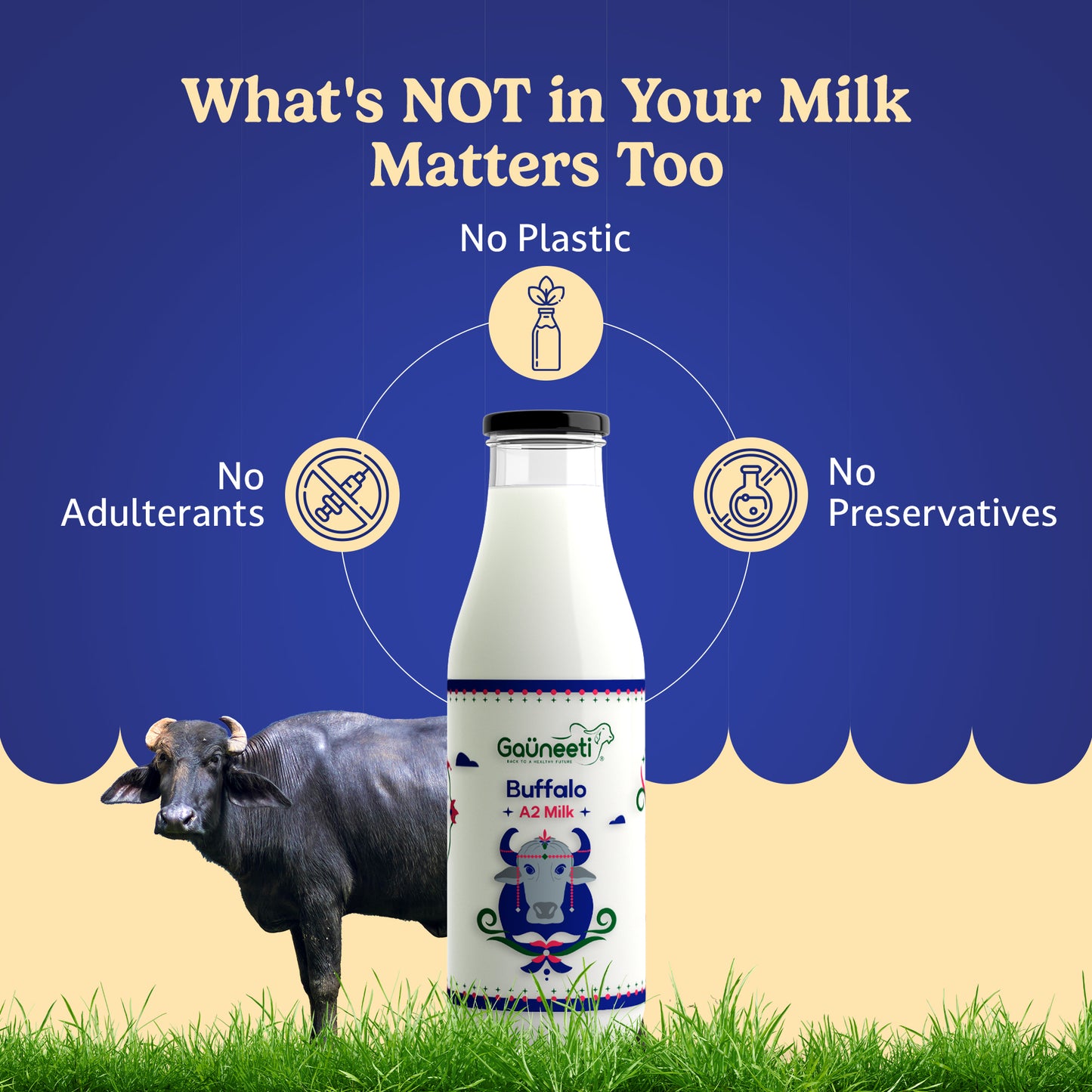 Pure A2 Buffalo Milk (Ahmedabad - GNR Only)