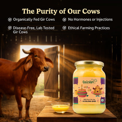 Gir Cow A2 Bilona Ghee