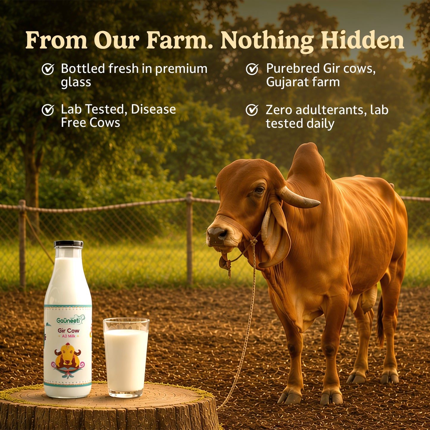 Gir Cow A2 Milk (Ahmedabad - GNR Only)