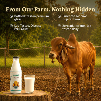 Gir Cow A2 Milk (Ahmedabad - GNR Only)