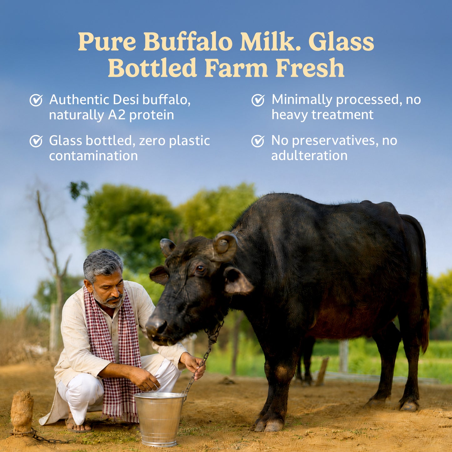 Pure A2 Buffalo Milk (Ahmedabad - GNR Only)