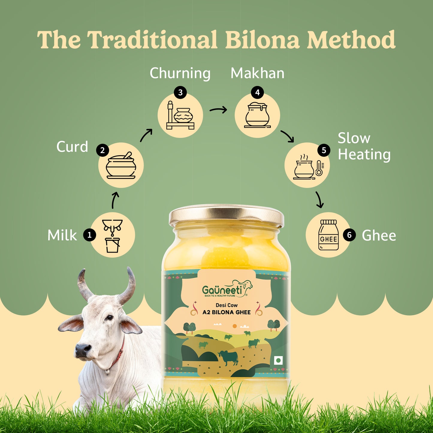 Diagram of the traditional Bilona method for making ghee with a jar of ghee and a cow on a green background.