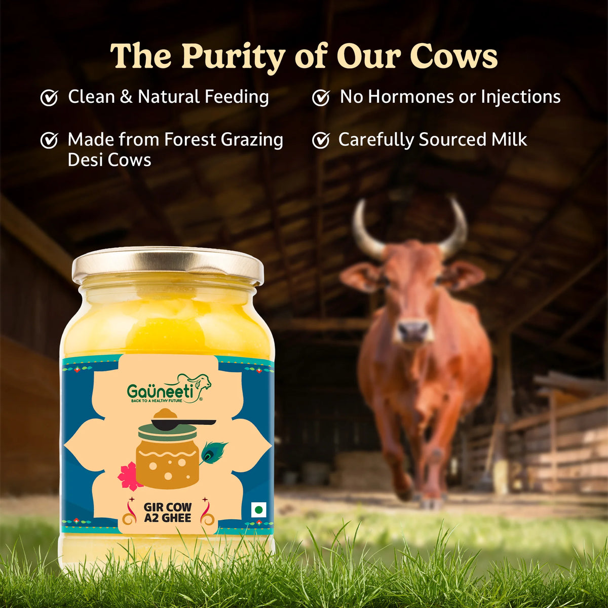Gir Cow A2 Ghee
