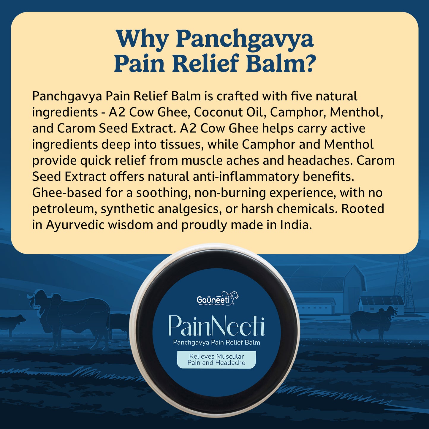 PainNeeti - Panchgavya Pain Relief Balm