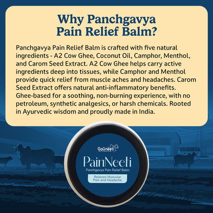 PainNeeti - Panchgavya Pain Relief Balm