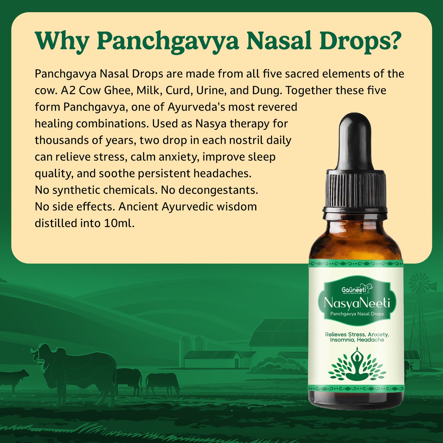 NasyaNeeti - Panchgavya Nasal Drops