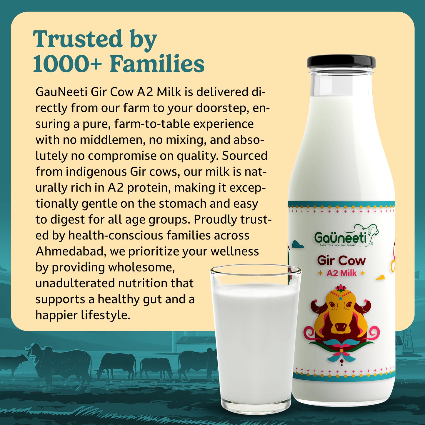 Gir Cow A2 Milk (Ahmedabad - GNR Only)