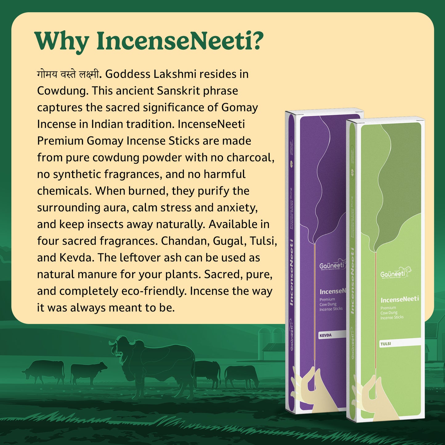 IncenseNeeti - Gomay Incense Sticks