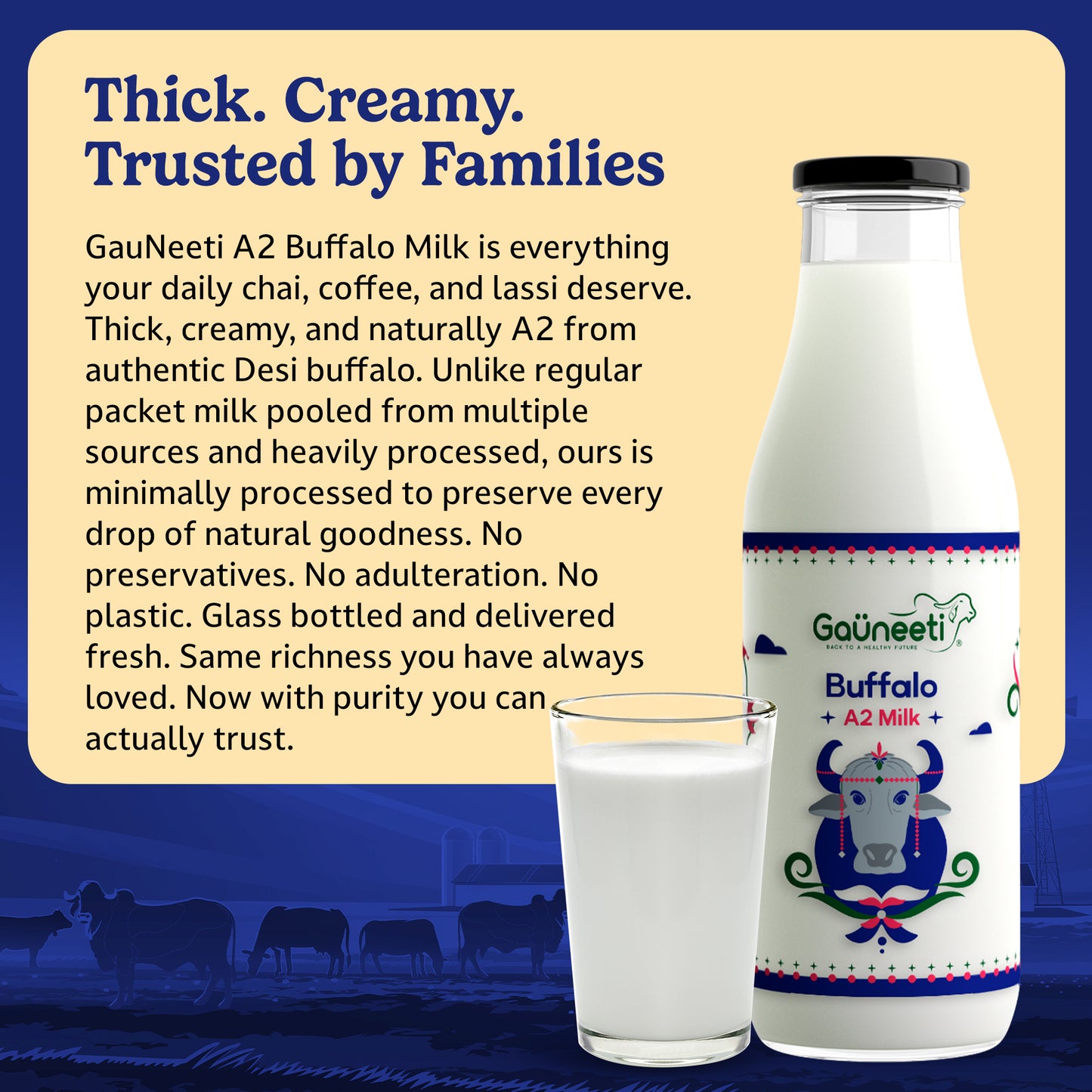 Pure A2 Buffalo Milk (Ahmedabad - GNR Only)